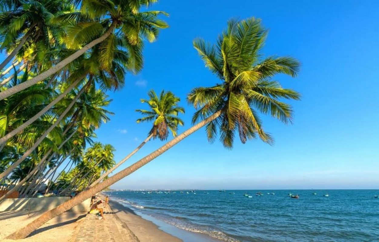 Công Ty TNHH Thương Mại Và Dịch Vụ Anh Sơn Travel
