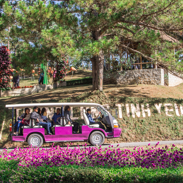 Công Ty TNHH Thương Mại Và Dịch Vụ Anh Sơn Travel